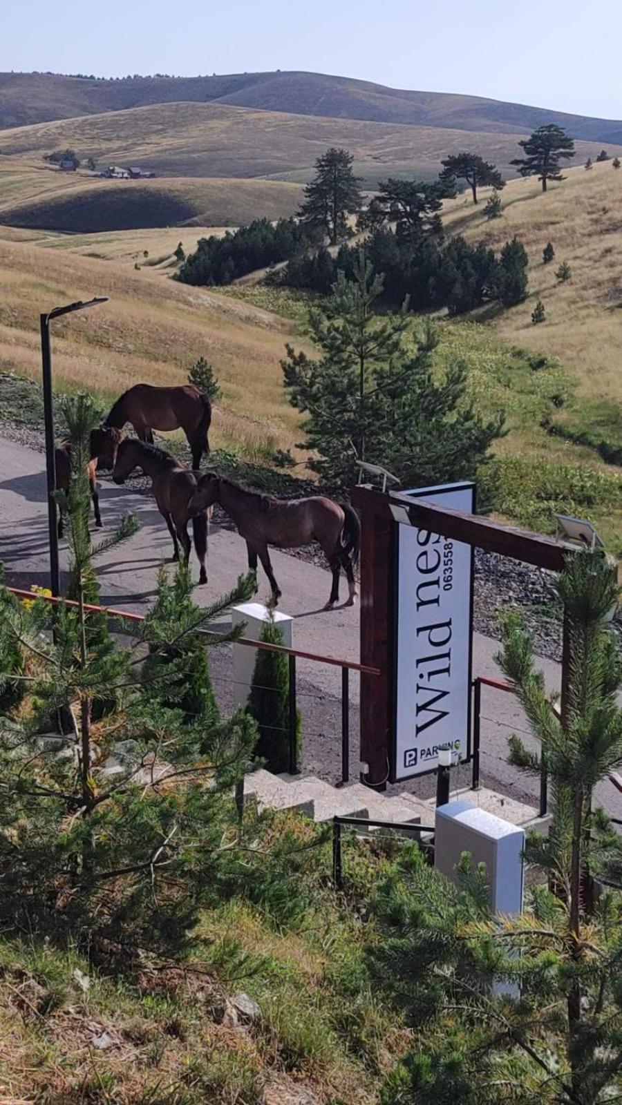 Villa Wild Nest Zlatibor Bear Esterno foto