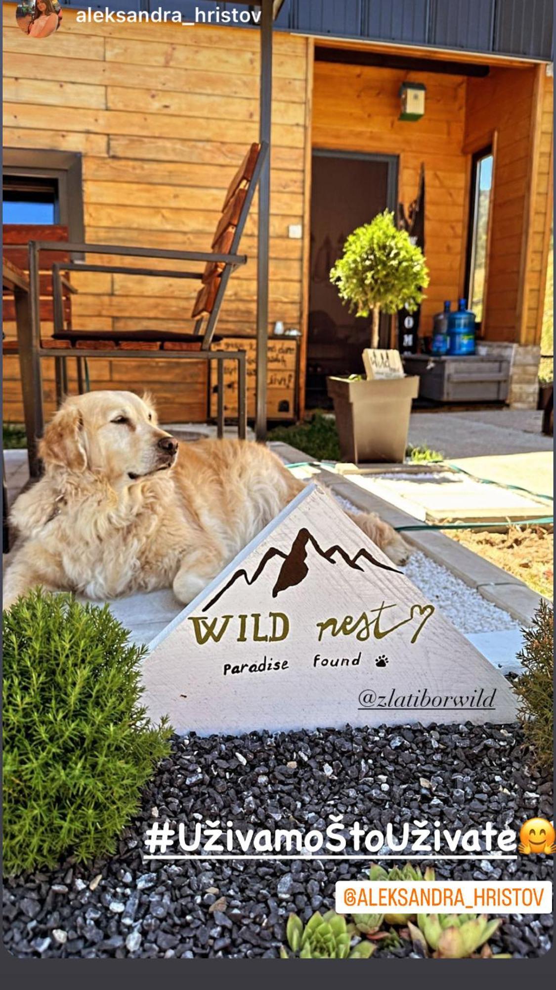 Villa Wild Nest Zlatibor Bear Esterno foto